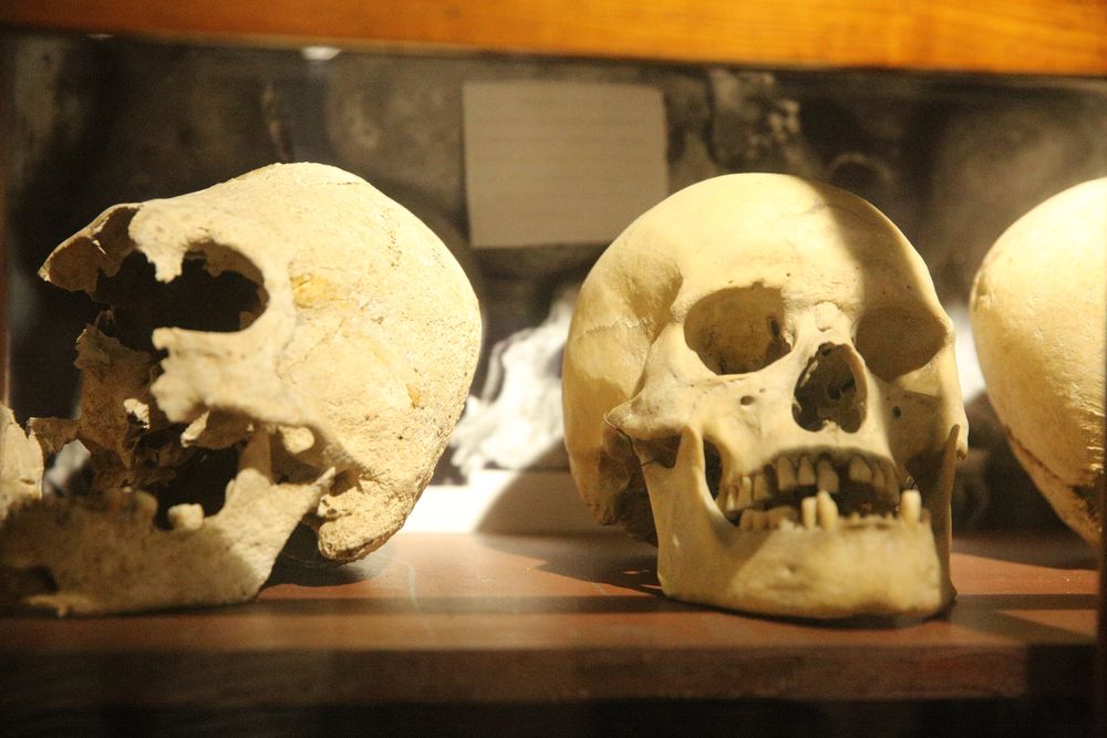В Херсонесском музее открылась выставка «Тайны античного некрополя Херсонеса»