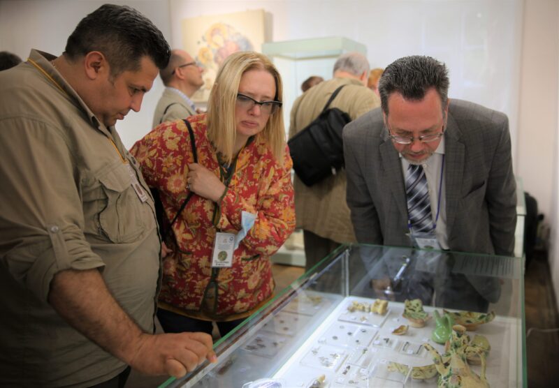В Херсонесе открылась выставка, посвящённая находкам с крепости Чембало